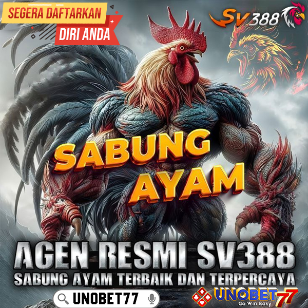 UNOBET77 $ Pilihan Terbaik Bandar Sabung Ayam SV388 Indonesia Terpercaya